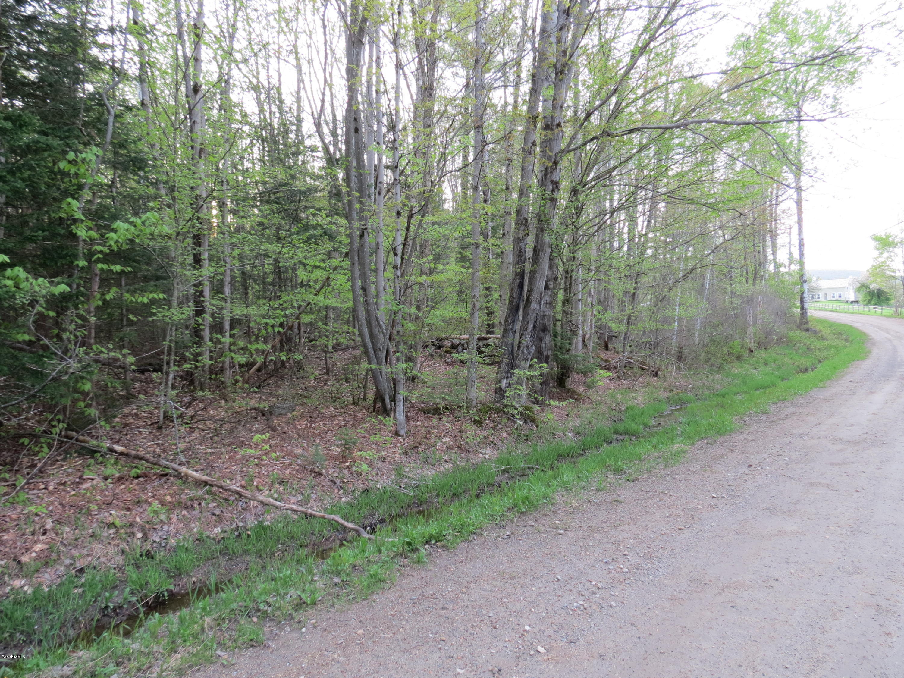 Lot #9 Lesure Road Stamford, VT 05352 - Photo 3 of 3 a view of a forest with trees in the background