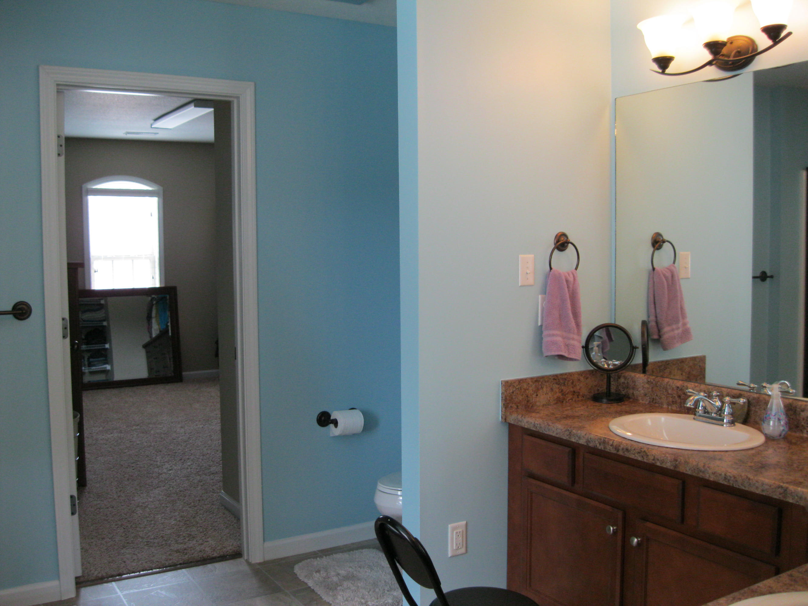 1600 Dempsey Road Knoxville, TN 37932 - Photo 17 of 21 Master Bath