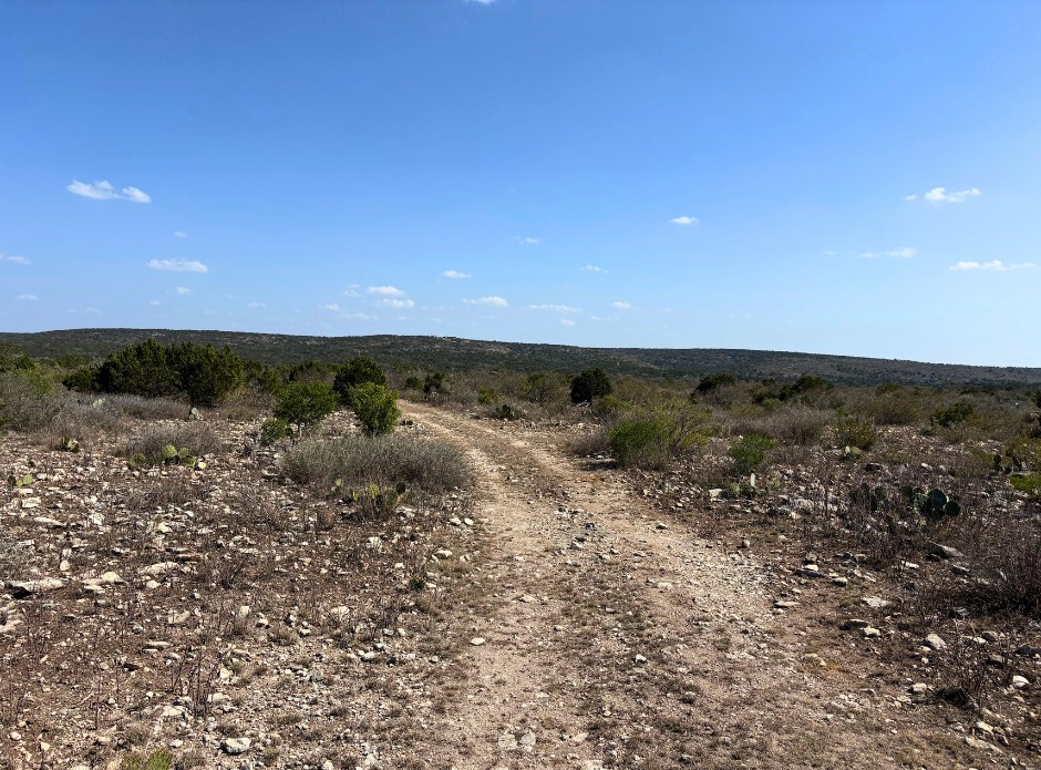 191 Leona Ranch Road Brackettville, TX 78832 - Photo 25 of 30 a view of a dry yard with wooden floor and fence