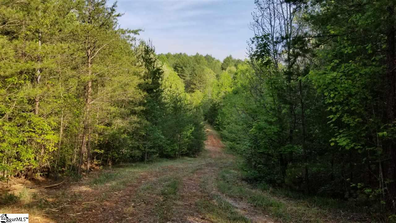 Jocassee Lake Road Salem, SC 29676 - Photo 2 of 12 Gallery Image 2