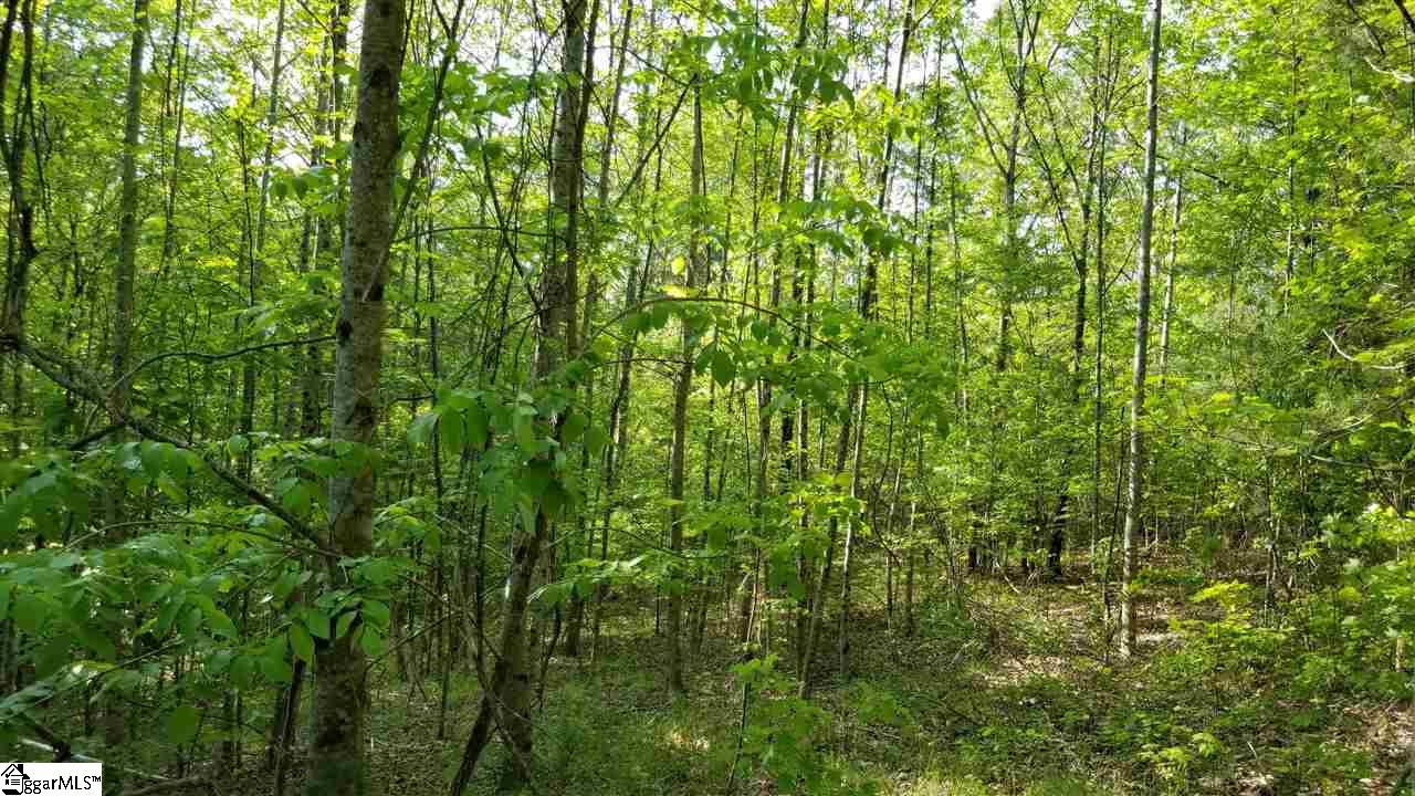 Jocassee Lake Road Salem, SC 29676 - Photo 4 of 12 Gallery Image 4