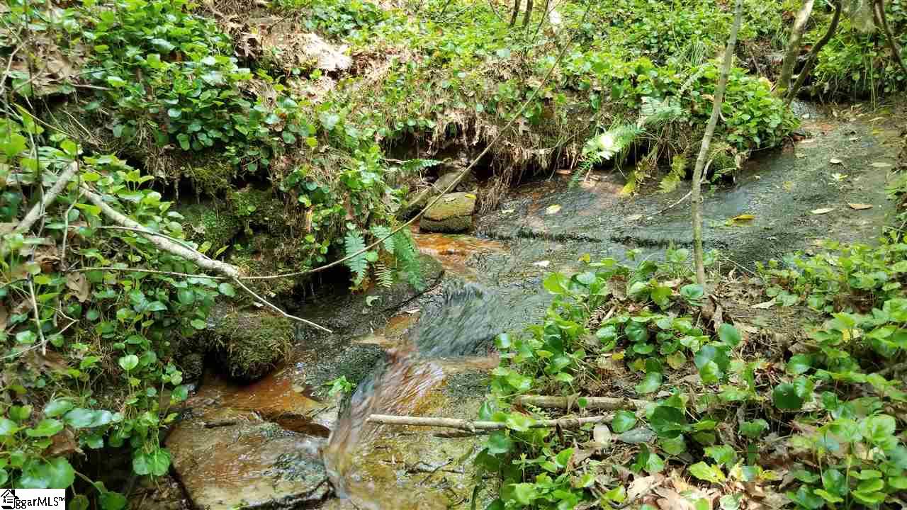 Jocassee Lake Road Salem, SC 29676 - Photo 5 of 12 Gallery Image 5