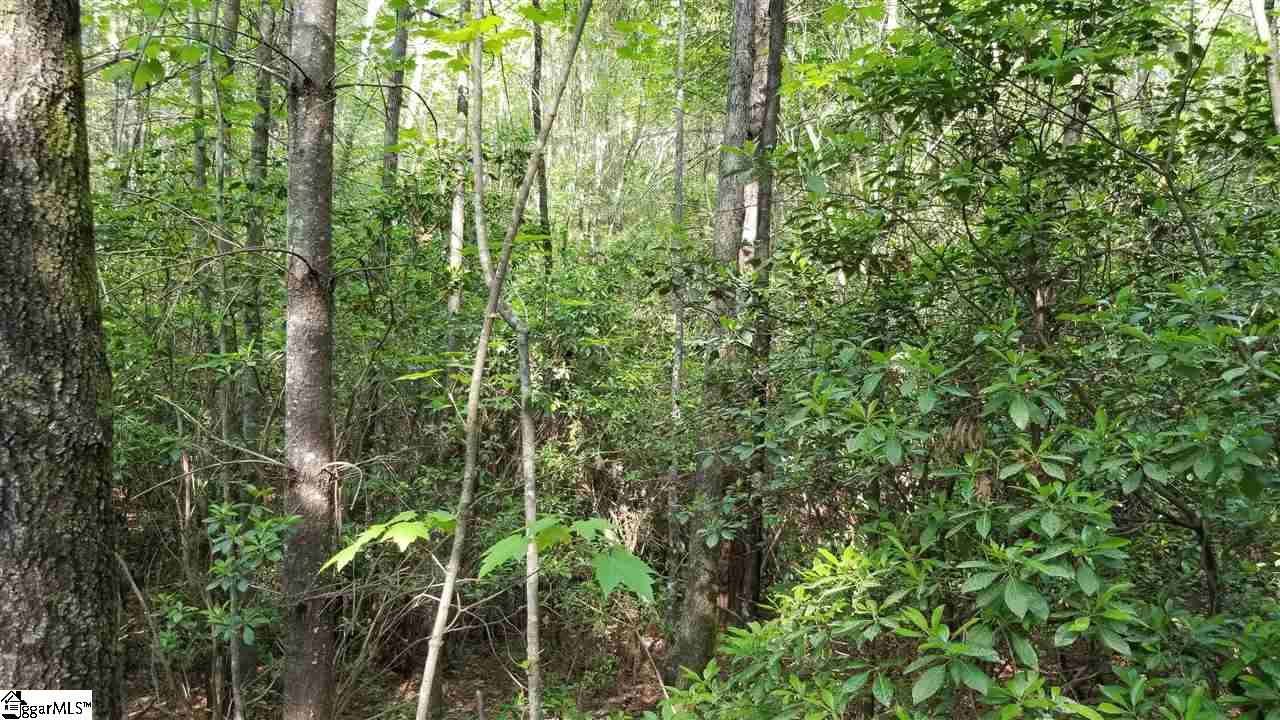 Jocassee Lake Road Salem, SC 29676 - Photo 7 of 12 Gallery Image 7