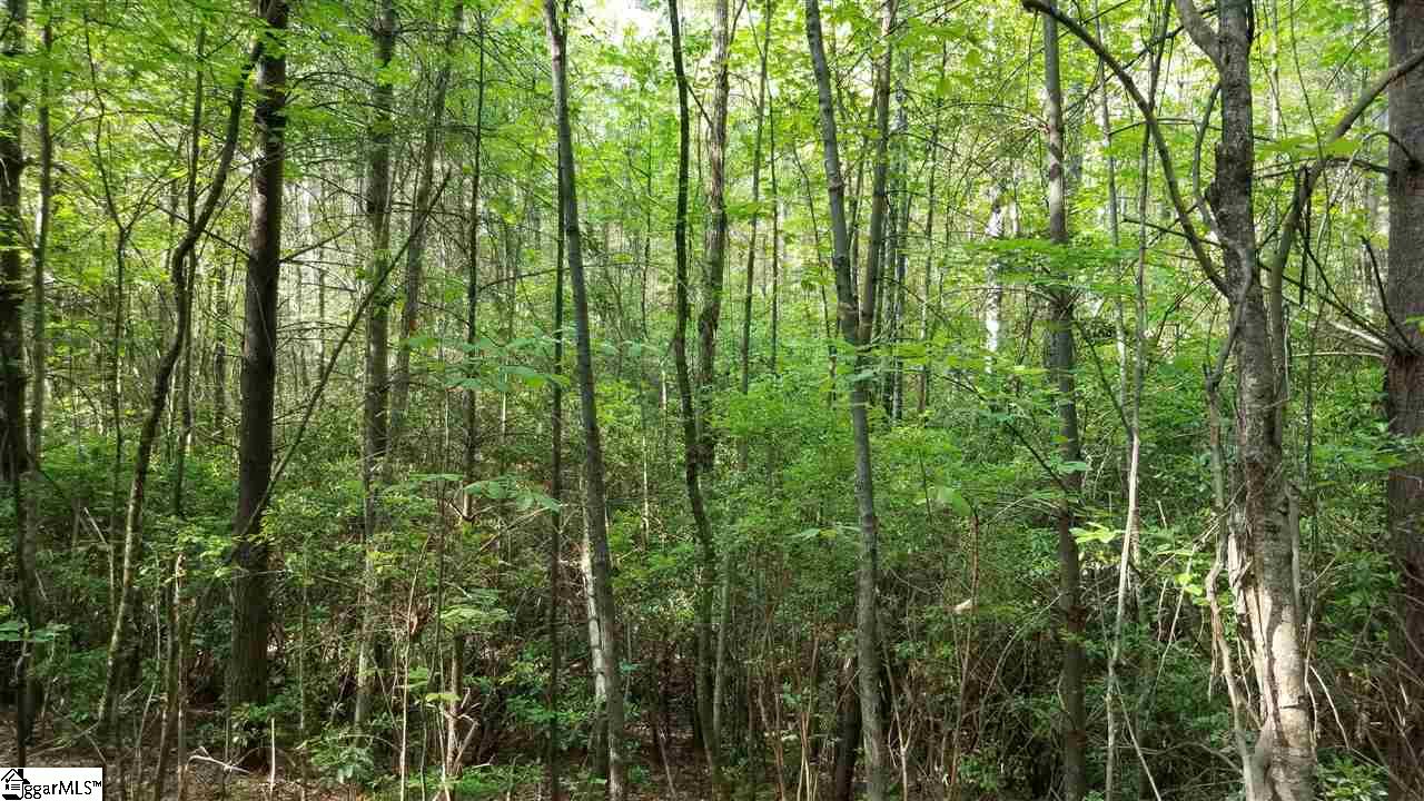 Jocassee Lake Road Salem, SC 29676 - Photo 8 of 12 Gallery Image 8