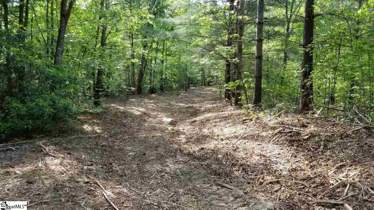Jocassee Lake Road Salem, SC 29676 - Photo 10 of 12 Gallery Image 10