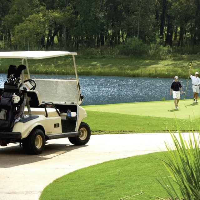 11926 Morning Cove Rosharon, TX 77583 - Photo 6 of 8 a view of a backyard with a car park