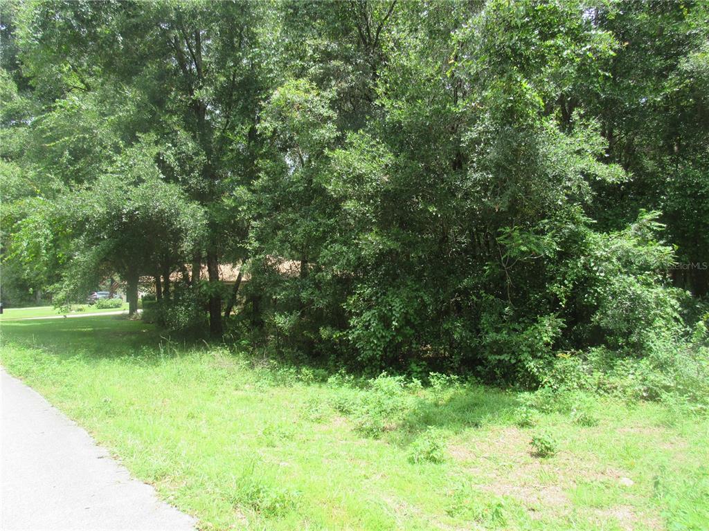 0 Southwest 197th Court Road Dunnellon, FL 34432 - Photo 1 of 1 Gorgeous New Construction Build Site 0.32 Acre Located In Beautiful Country Club Estates of The Village Of Rainbow Springs!