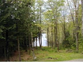 174 Brick House Road Whitingham, VT 05361 - Photo 2 of 6