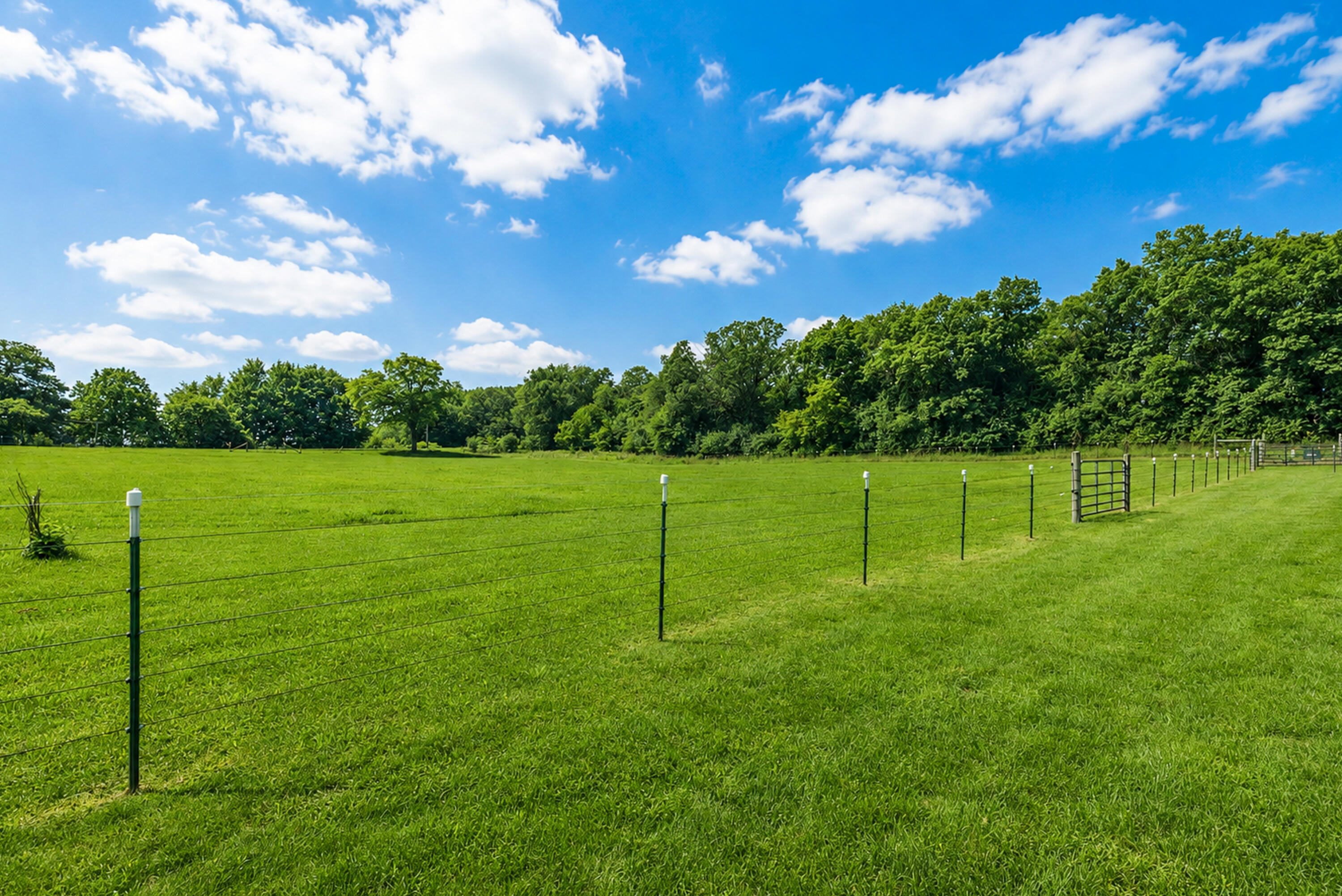 S75W35724 Wilton Road Eagle, WI 53119 - Photo 55 of 63 Beautiful green pastures in front and back of your new home <3