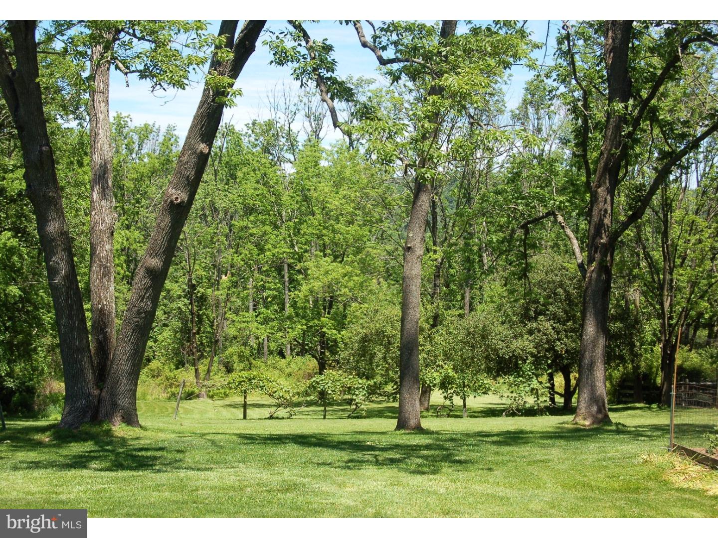77 Woodhill Road Newtown, PA 18940 - Photo 23 of 23 Back Yard