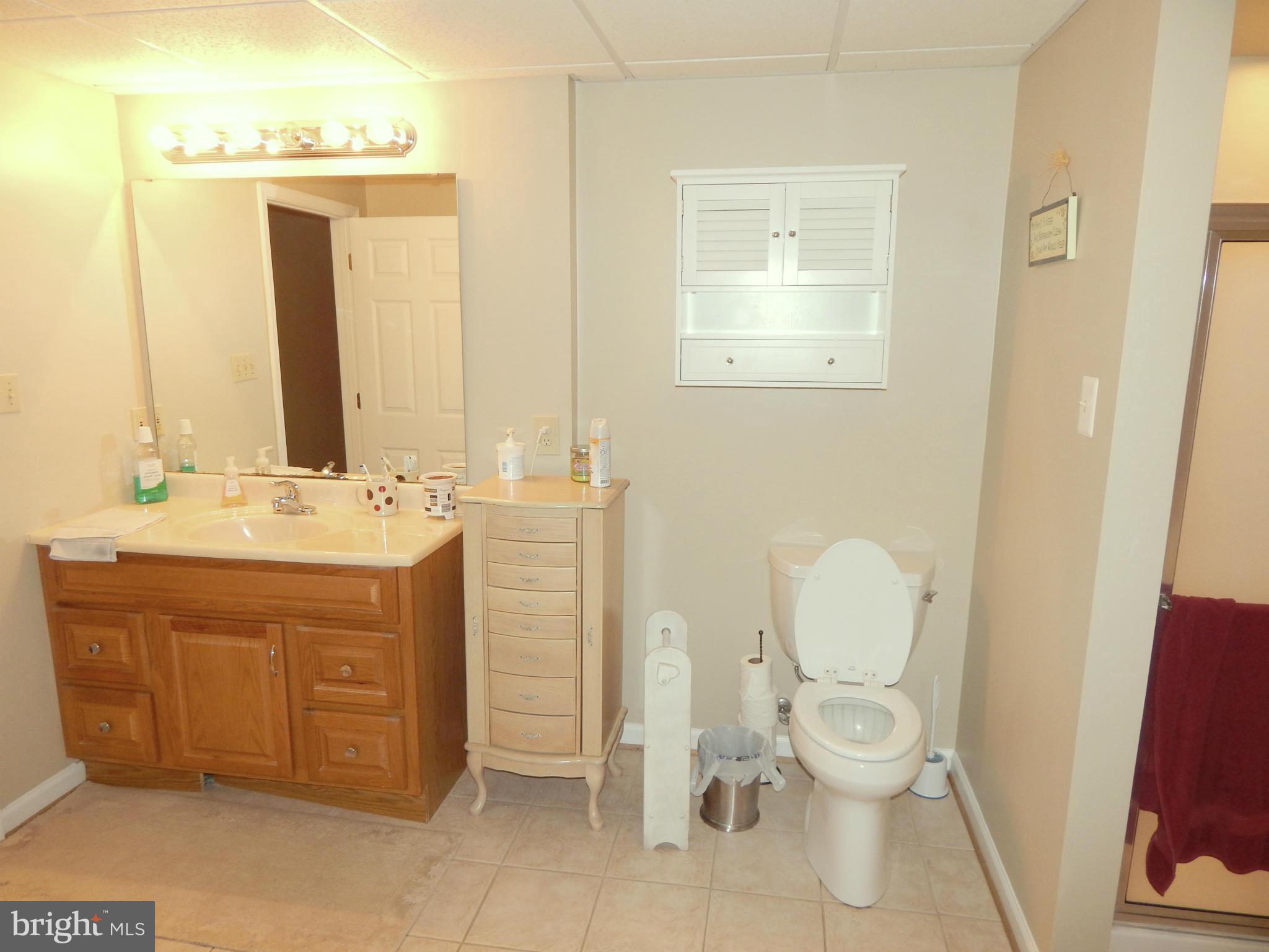 8246 Sinclair Mill Road Manassas, VA 20112 - Photo 23 of 30 Full Bathroom in Lower Level Hallway