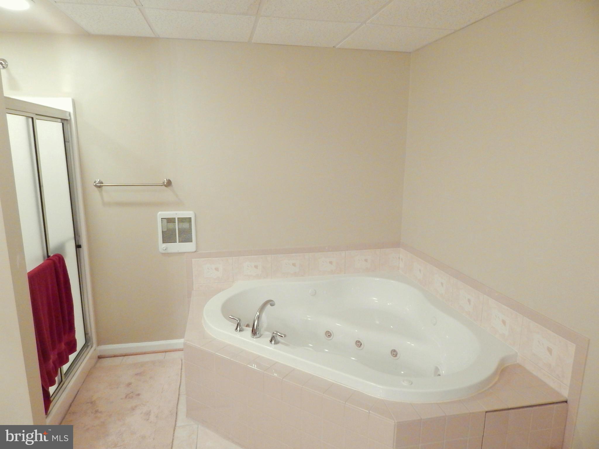 8246 Sinclair Mill Road Manassas, VA 20112 - Photo 24 of 30 Full Bathroom in Lower Level Hallway, View #2