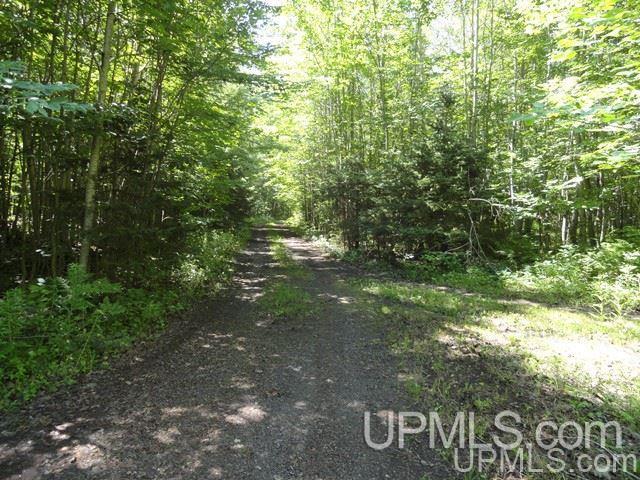 28557 L P Walsh Road Ontonagon, MI 49953 - Photo 11 of 12 Gallery Image 11