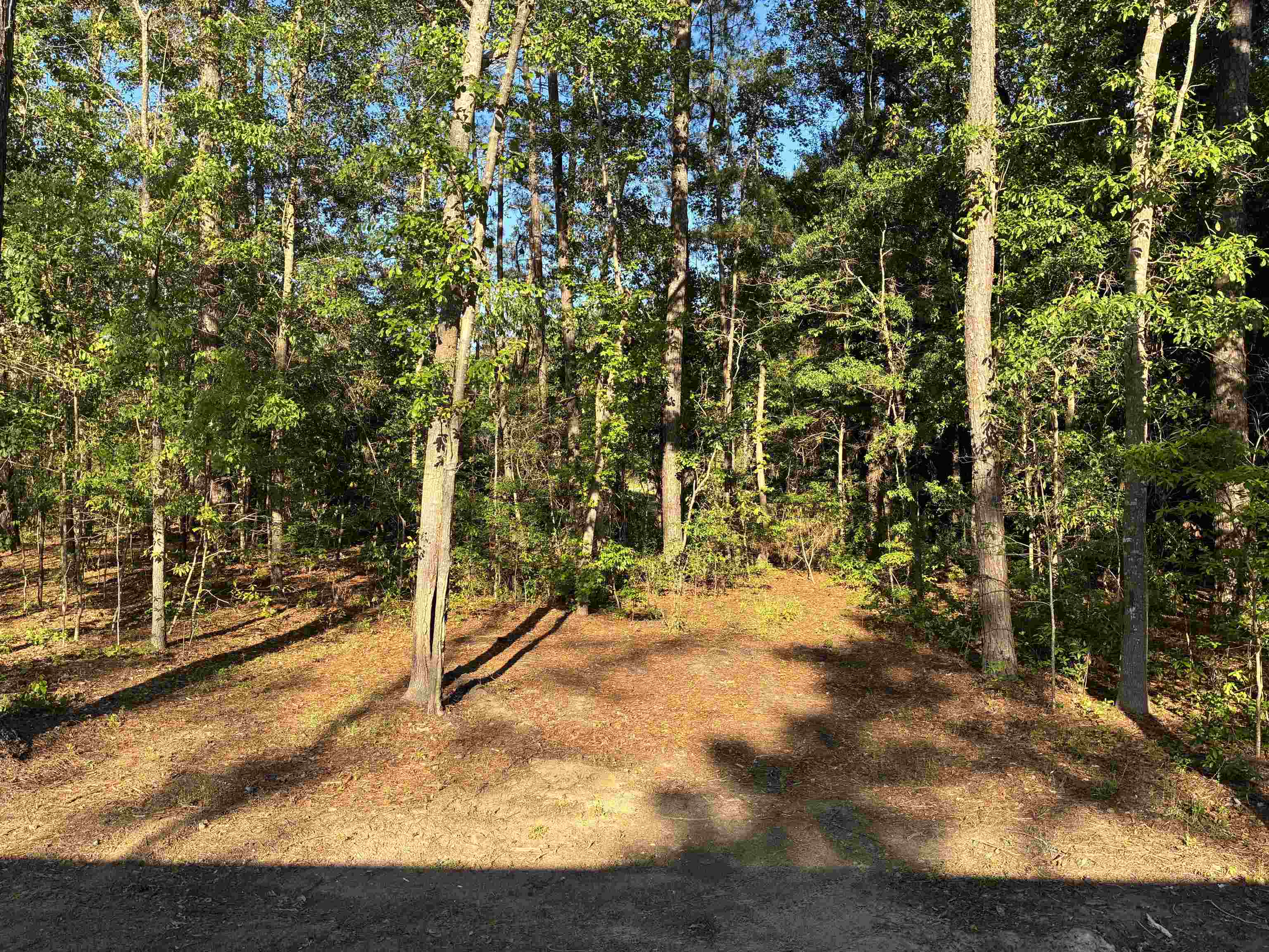 2252 Starduster Lane Little River, SC 29566 - Photo 14 of 29