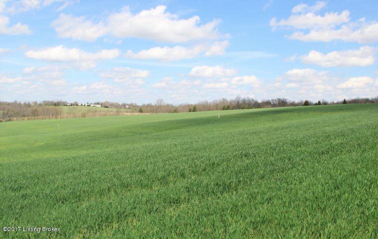 0 Russell Road Bloomfield, KY 40008 - Photo 3 of 10 Capture 1