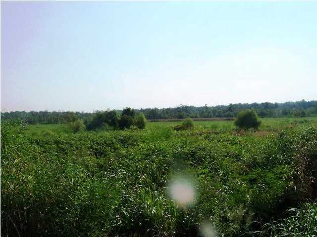 0 Old Jeanerette Road New Iberia, LA 70563 - Photo 4 of 12 Additional Photo