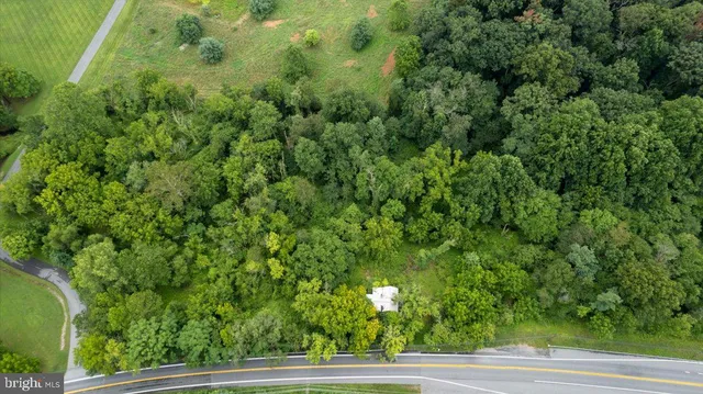 a view of a yard with plants