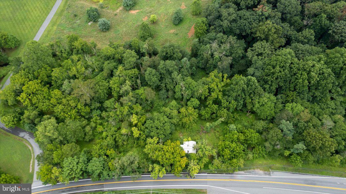 14459 Frederick Road Cooksville, MD 21723 - Photo 14 of 29 a view of a yard
