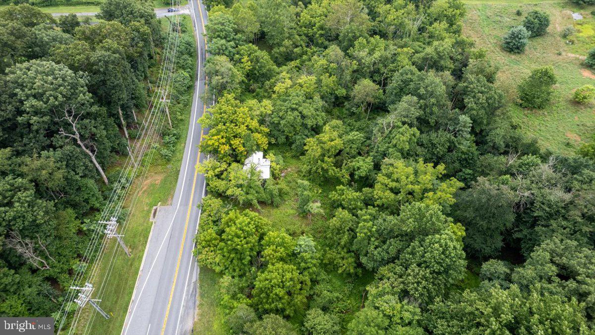 14459 Frederick Road Cooksville, MD 21723 - Photo 7 of 29 a view of a garden from a window