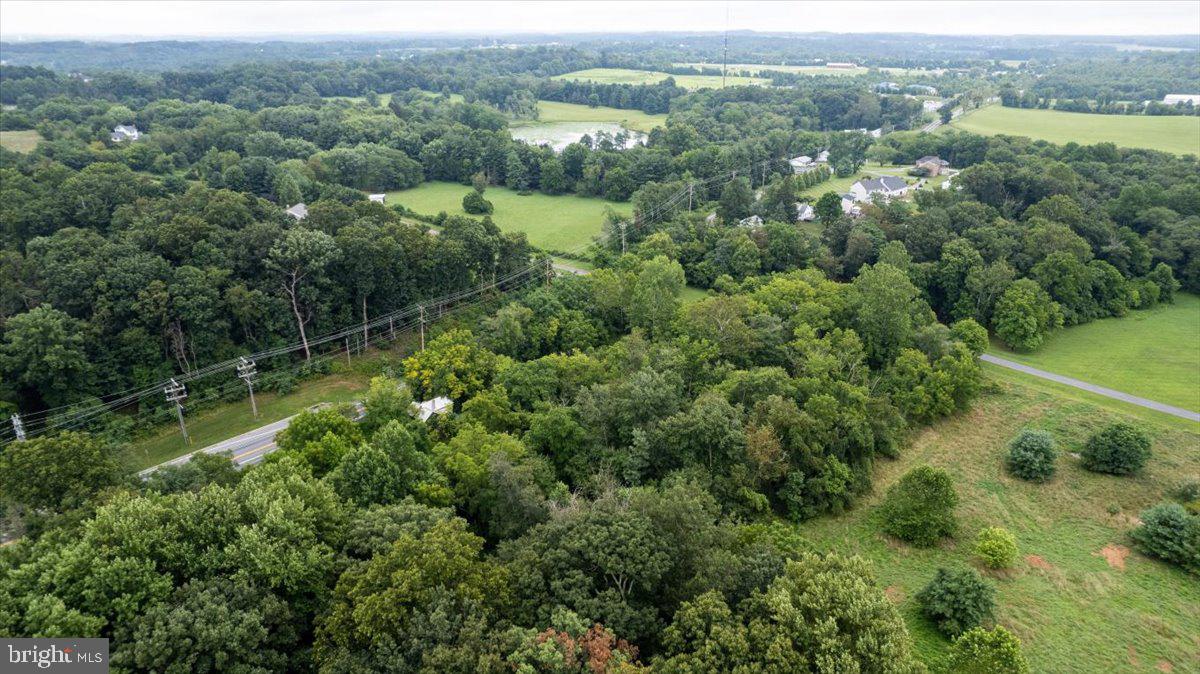 14459 Frederick Road Cooksville, MD 21723 - Photo 9 of 29 an aerial view of forest