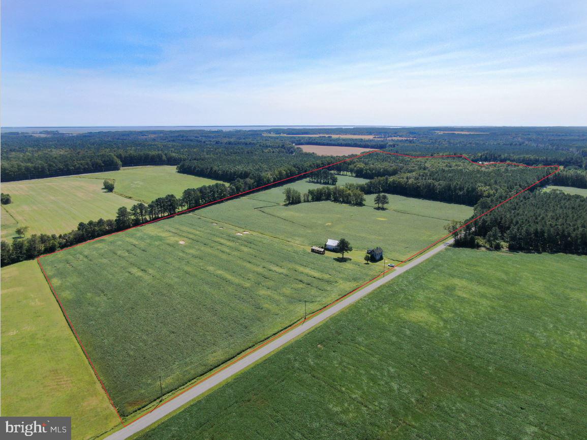 2524 Bird Hill Road Girdletree, MD 21829 - Photo 1 of 13 Gallery Image 1