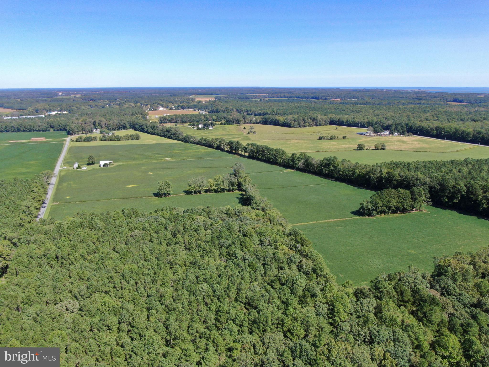 2524 Bird Hill Road Girdletree, MD 21829 - Photo 7 of 13 Gallery Image 7