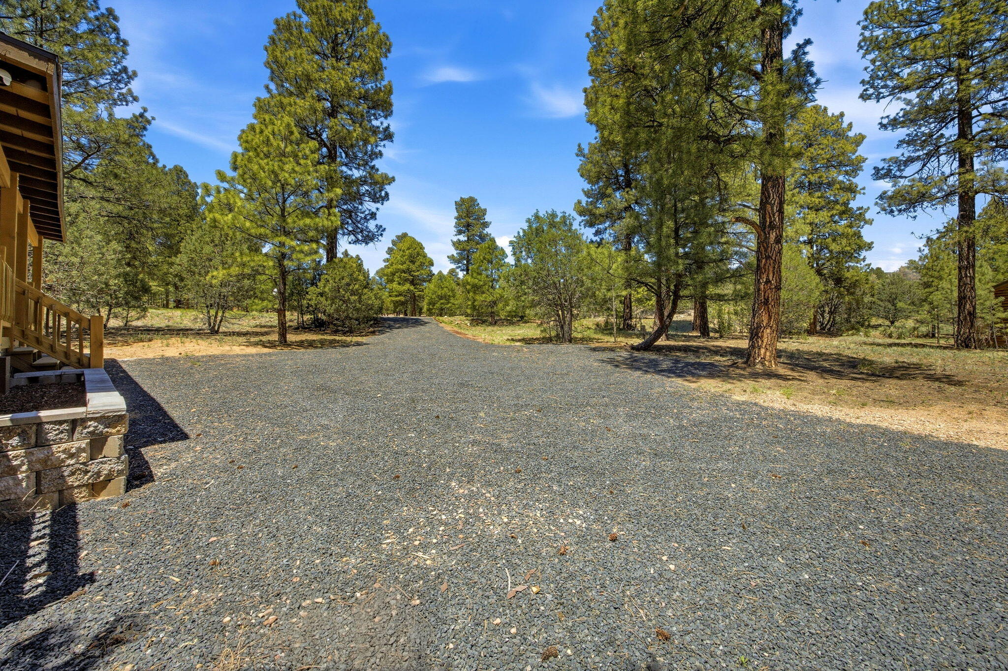 2905 Lodgepole Road Overgaard, AZ 85933 - Photo 8 of 42
