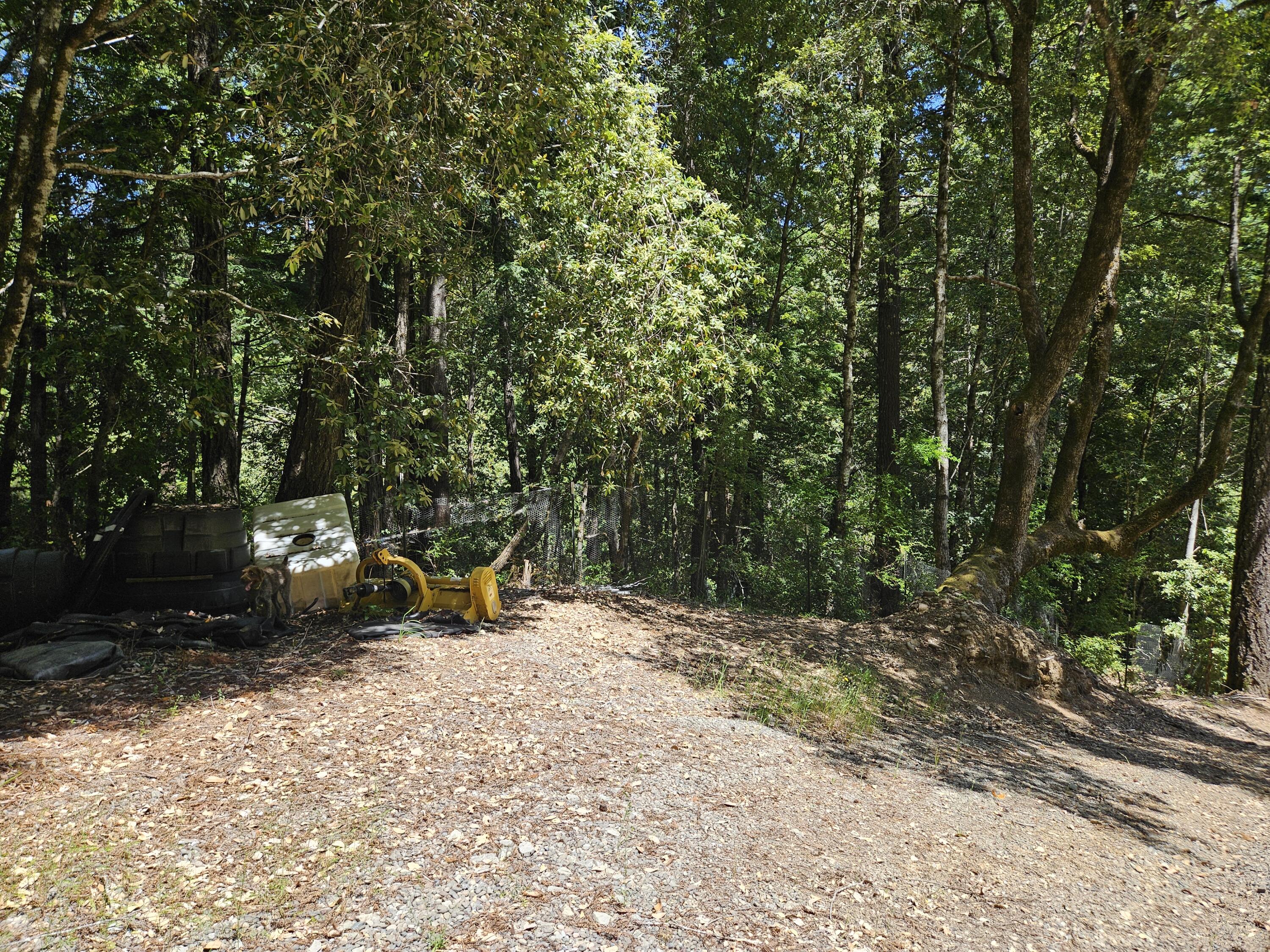 245 Twin Trees Road Garberville, CA 95542 - Photo 5 of 7
