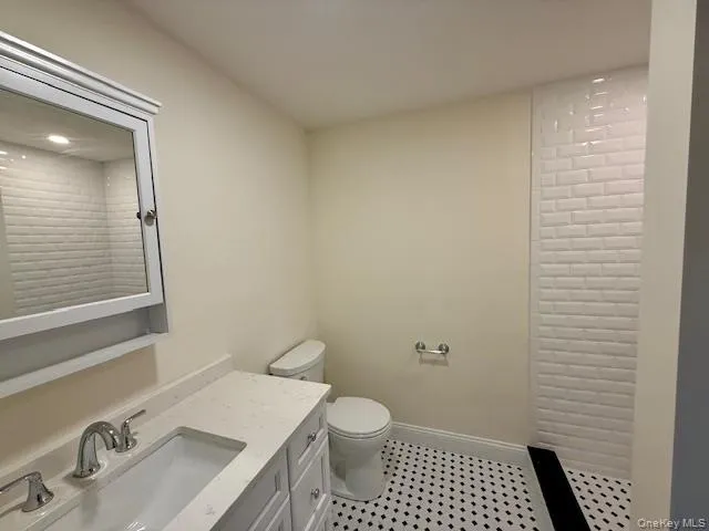 a bathroom with a sink and a toilet