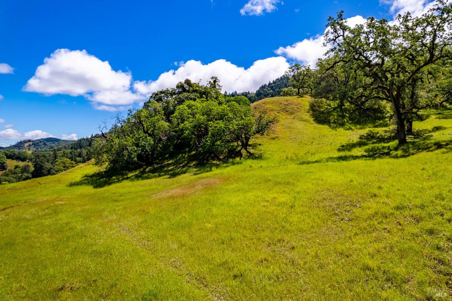 15890 Yorkville Ranch Road Hopland, CA 95449 - Photo 50 of 60