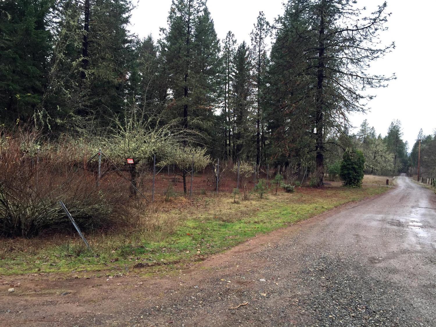 3755 Dick George Road Cave Junction, OR 97523 - Photo 1 of 6 Primary Photo
