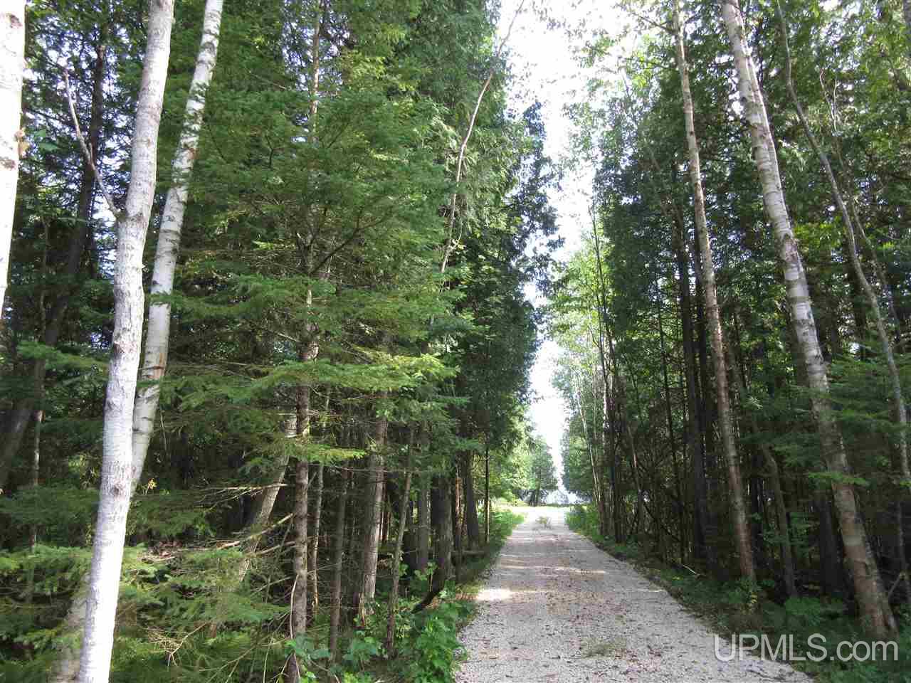 3365 West North Gulliver Lake Road Gulliver, MI 49840 - Photo 11 of 17