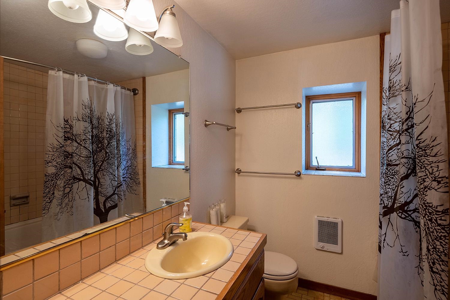 1281 Sandy Way Olympic Valley, CA 96146 - Photo 11 of 19 a bathroom with a sink a toilet and mirror