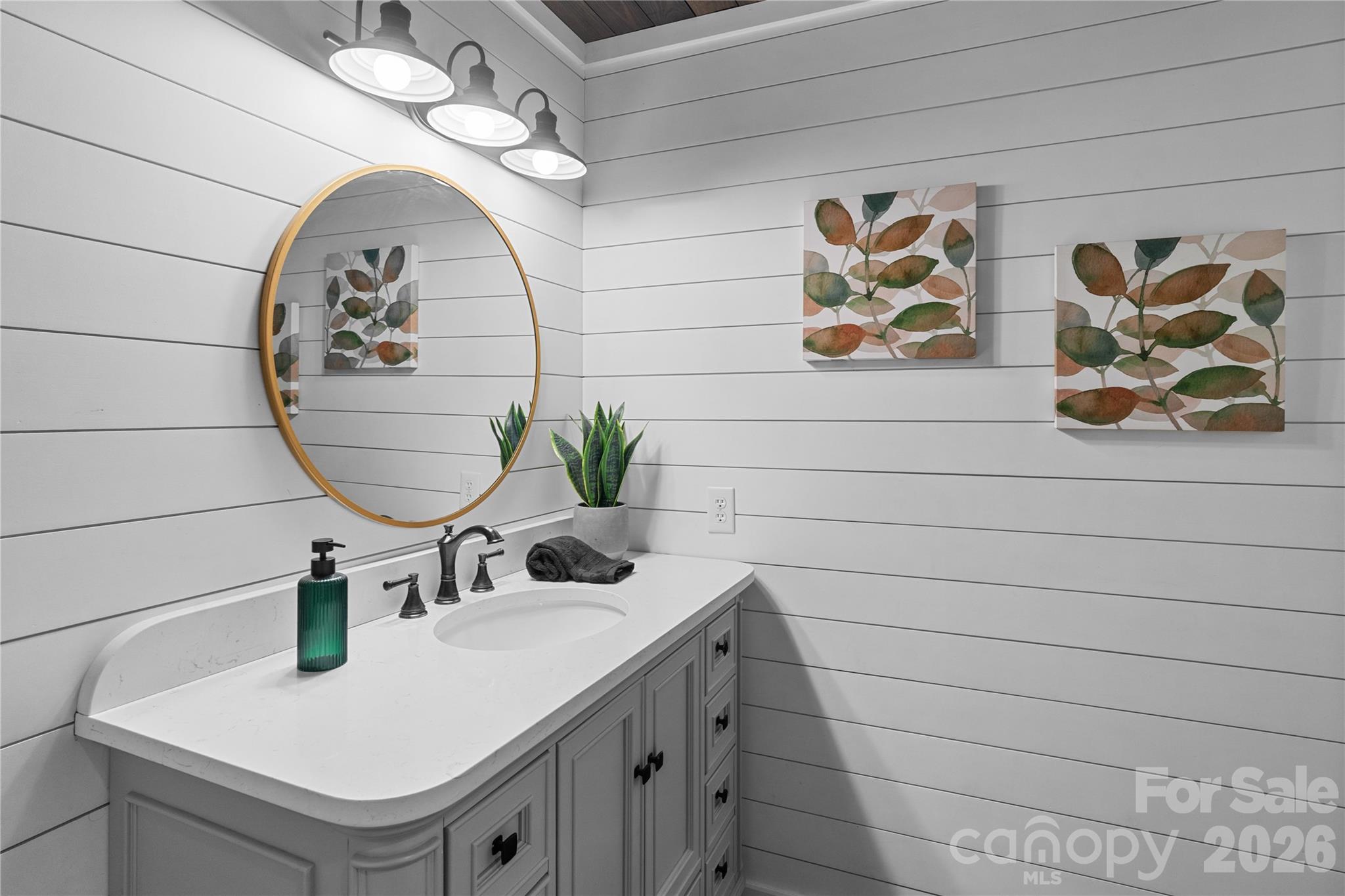 1335 Blacksnake Road Stanley, NC 28164 - Photo 11 of 31 a bathroom with a sink a mirror and painting on the wall