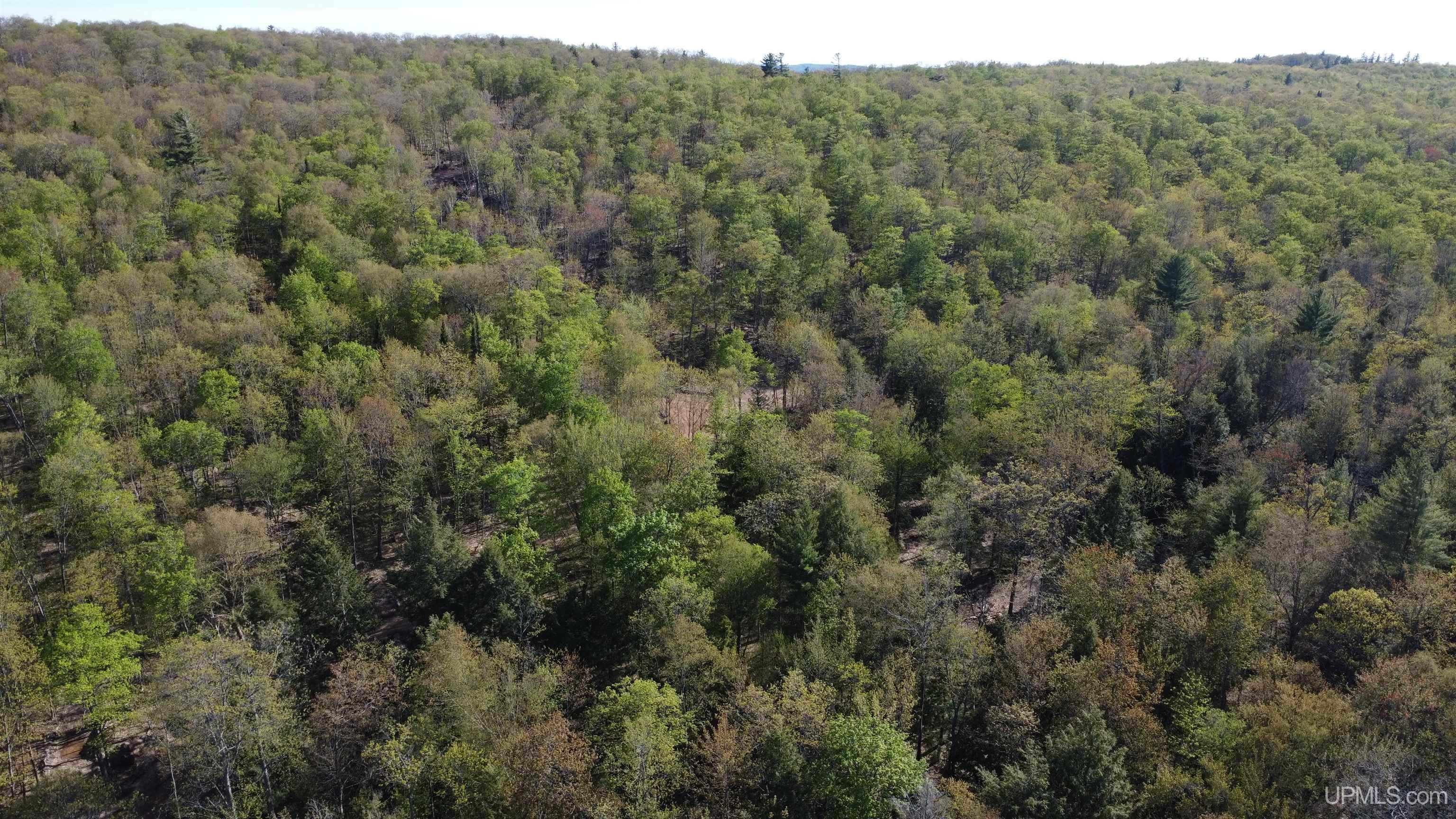 Off Off Hoist Road Negaunee, MI 49866 - Photo 8 of 45