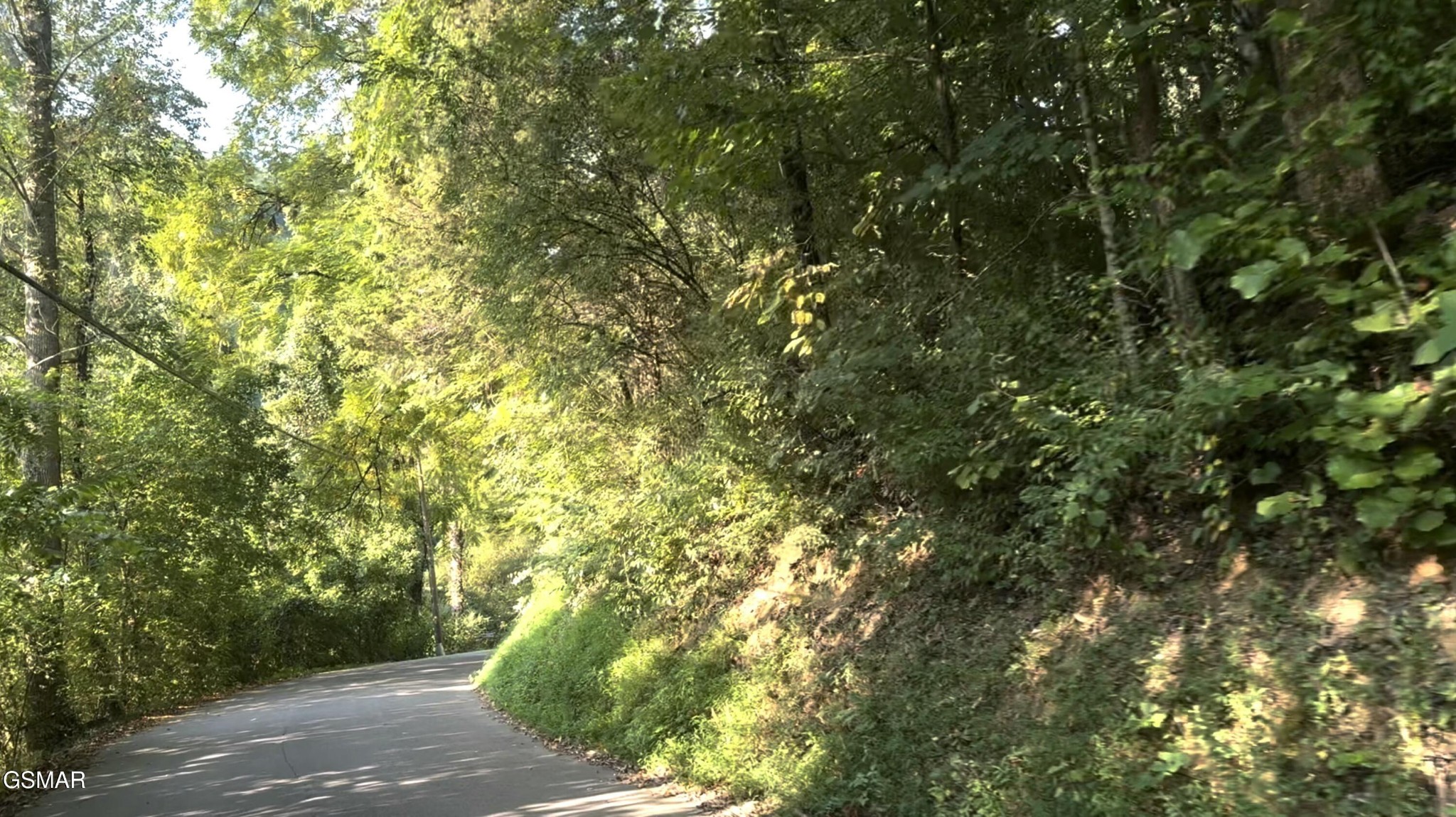 2 Caney Creek Road Pigeon Forge, TN 37863 - Photo 1 of 7