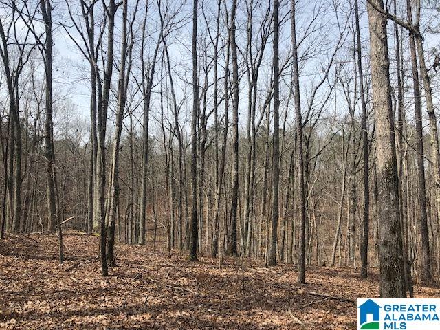59 County Road, Unit 55 Roanoke, AL 36274 - Photo 1 of 7