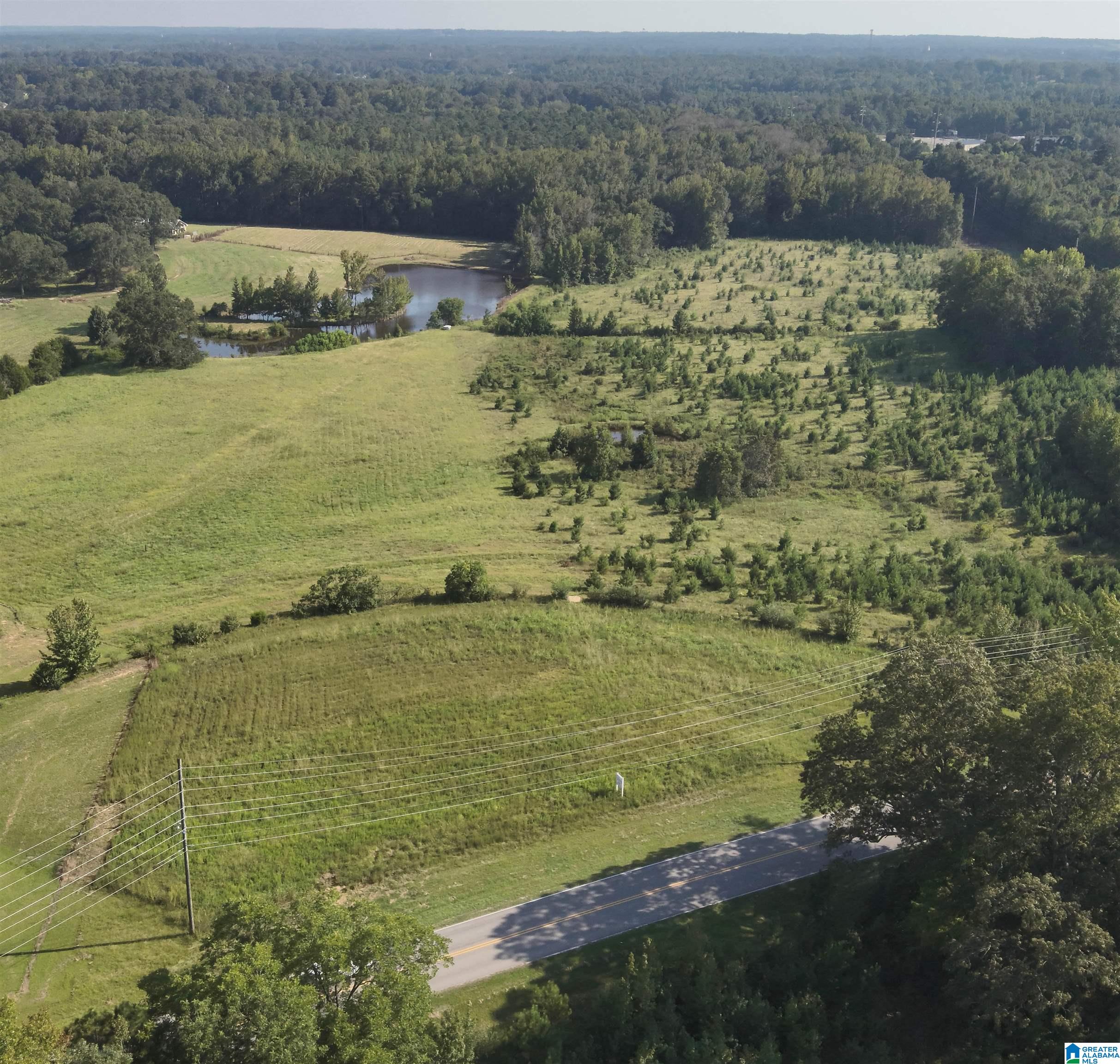 0 New Harmony Road, Unit 35 ACRES / Clanton, AL 35045 - Photo 1 of 21