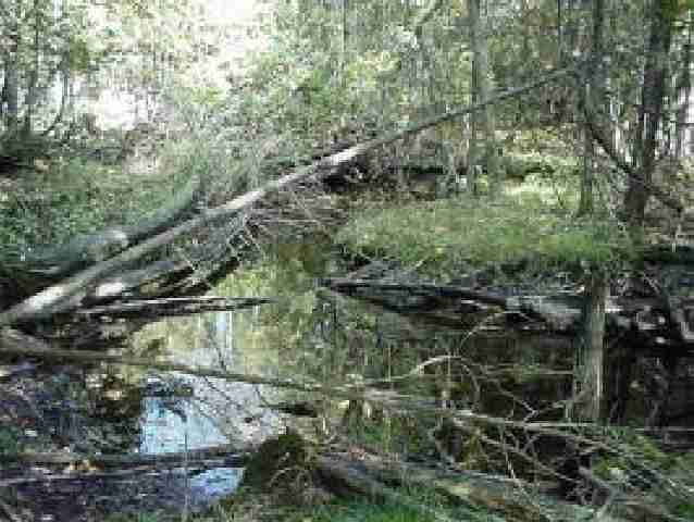 0 Little Marsh Road Fish Creek, WI 54212 - Photo 1 of 1 Main View