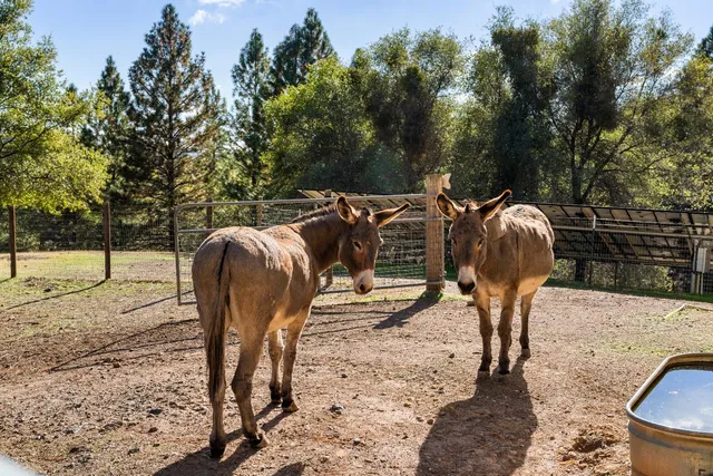 $1,595,000 | 15045 Tyler Road, Fiddletown, CA 95629