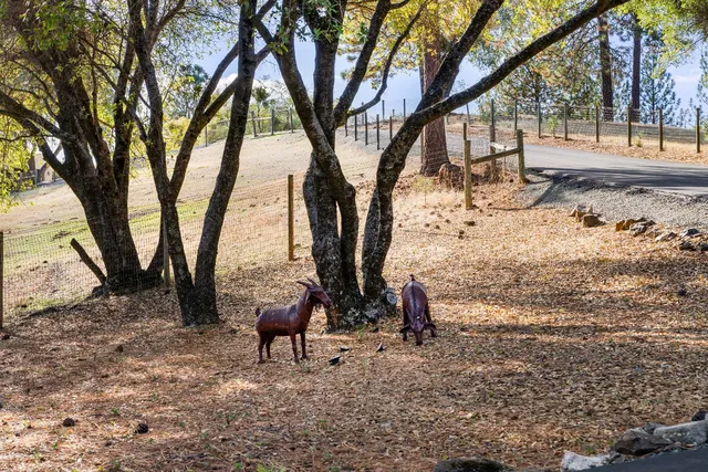 $1,595,000 | 15045 Tyler Road, Fiddletown, CA 95629