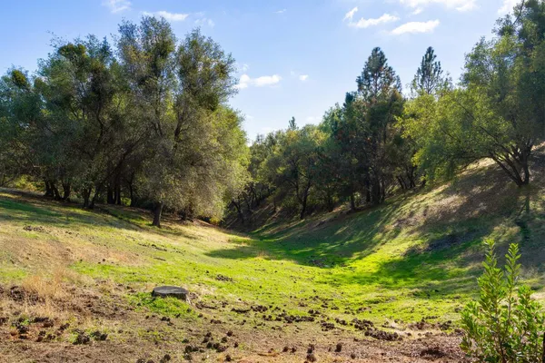 $1,589,000 | 15045 Tyler Road, Fiddletown, CA 95629