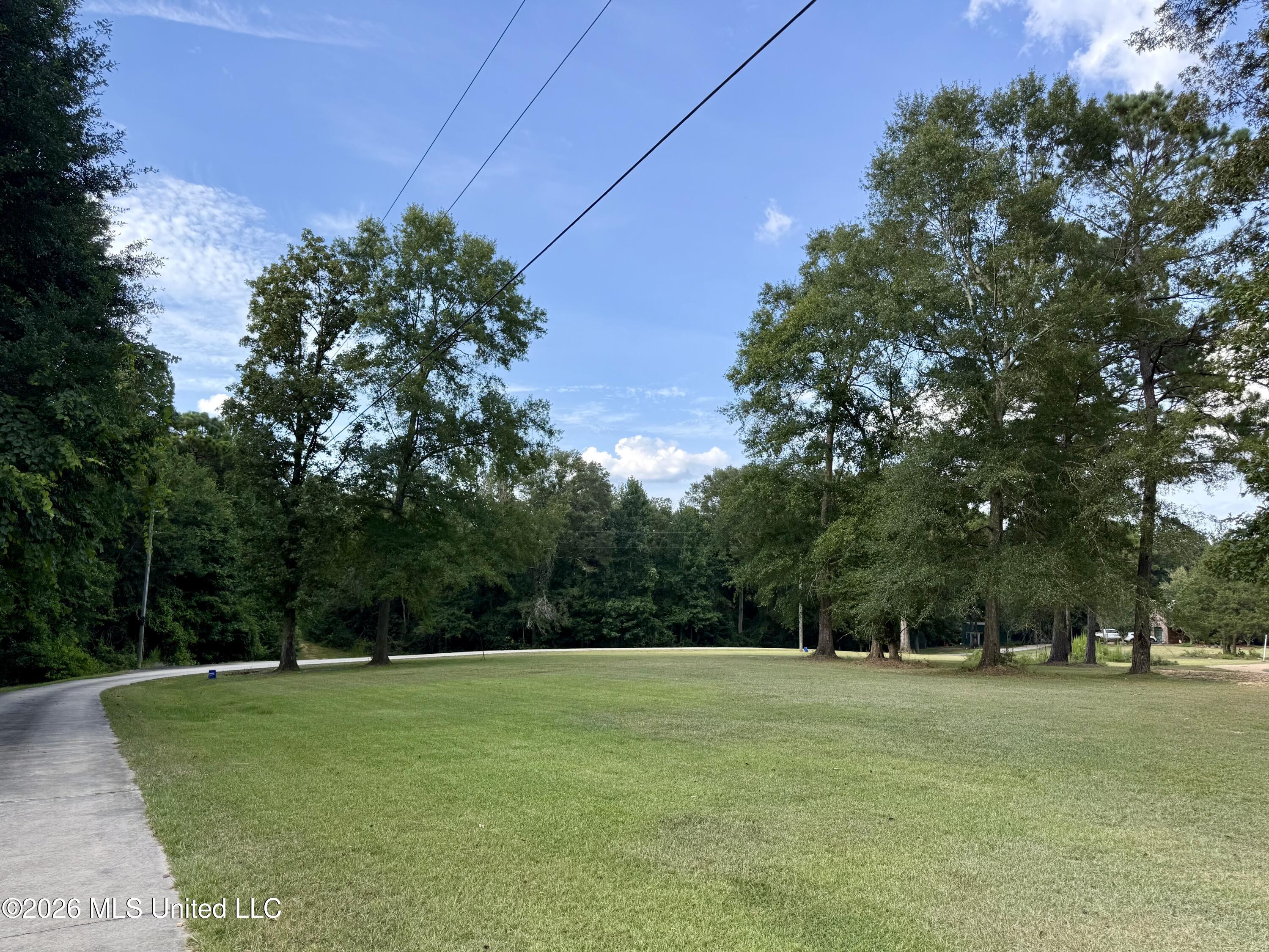 64 Greer Road Jayess, MS 39641 - Photo 10 of 47 IMG_9029