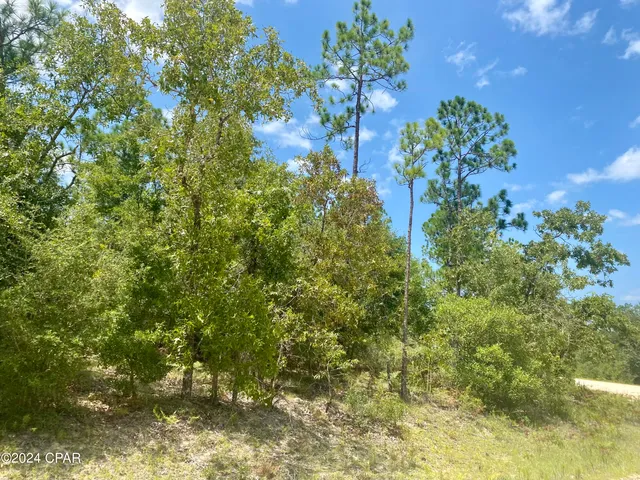 $10,000 | Lot 13 Noble Circle, Alford, FL 32420