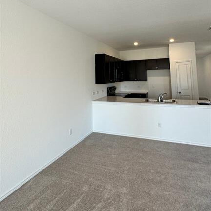 340 The Bad Way Jarrell, TX 76537 - Photo 6 of 14 Kitchen featuring dark cabinets, dark carpet, light countertops, a peninsula, and black range
