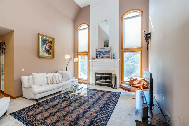 a living room with furniture or couch and a fireplace