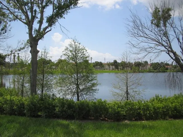 a view of a lake in between two large trees