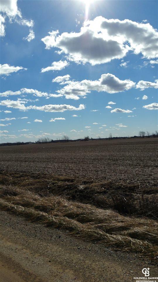 Vacant Land North State/allan Road Owosso, MI 48867 - Photo 4 of 7