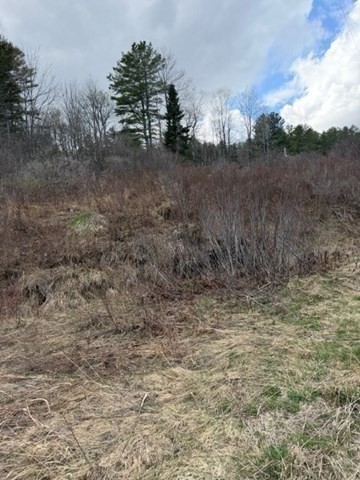 0 Number 9 Road Charlemont, MA 01339 - Photo 10 of 14 Gallery Image 10