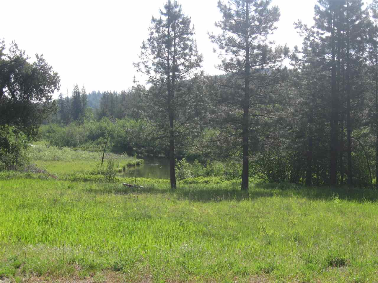 342 Pines Road Newport, WA 99156 - Photo 3 of 5